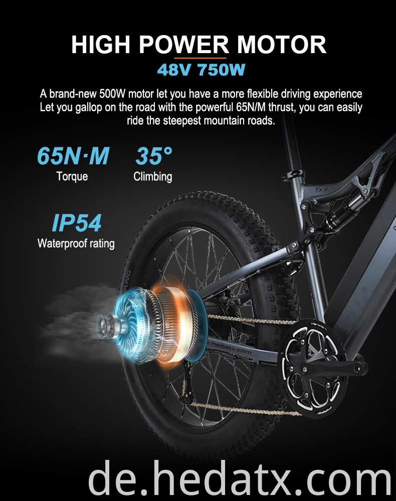 Brushless Motor Electric Fat Tire Bike